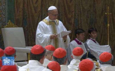 Pope’s July Prayer Intention: ‘For formation in discernment’