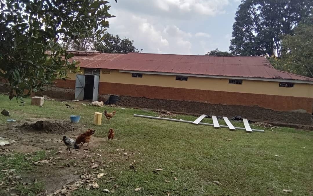 A Call from the Heart: Let Us Help Alito Parish Prepare for the Shepherd’s Visit
