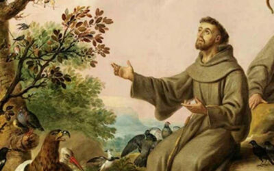 Pope Leo XIV’s September Prayer Intention: For our relationship with all of creation