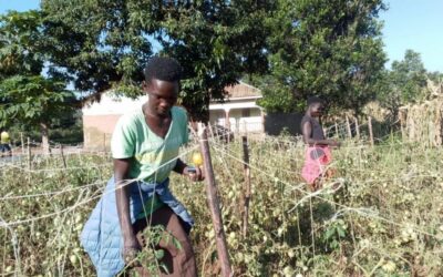 Kwania women turn to Horticulture to combat climate change and restore food security