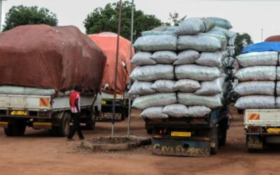 Otuke leaders tackle ongoing illegal shea tree cutting
